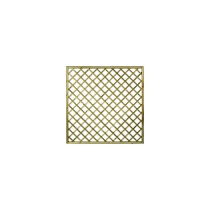 Imagen de CELOSIA MADERA PREMICES CON MA