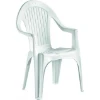 Imagen de SILLON MONOBLOC NAPOLI BLANCO