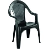 Imagen de SILLON MONOBLOC NAPOLI ANTRACI