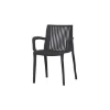 Imagen de SILLA POLIPROPILENO DALLAS ANT