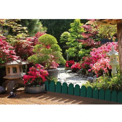 Imagen de BORDURA SIERRA 22X81CM BORDER