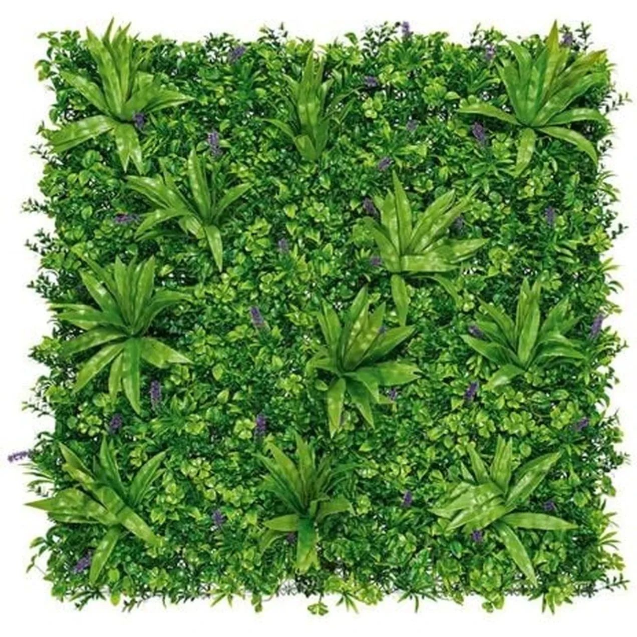 Imagen de LOSETA JARD 100X100CM JUNGLE P