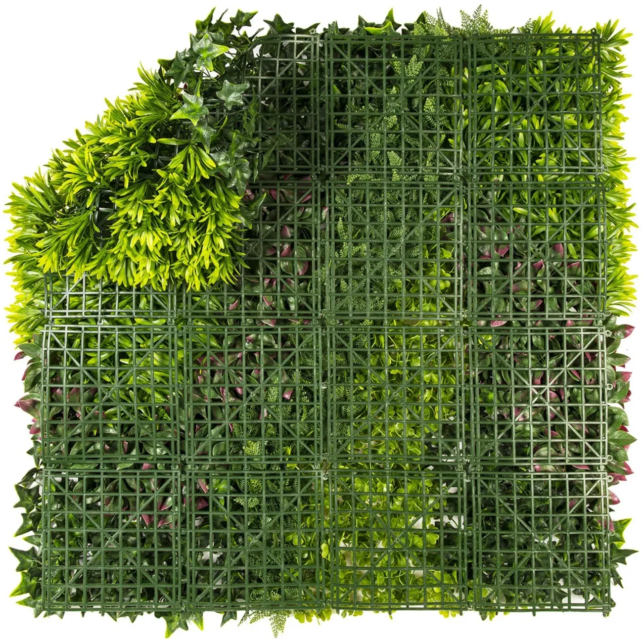 Imagen de LOSETA JARD 100X100CM COSTA PE