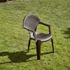 Imagen de SILLA JARD DREAM RES WENG